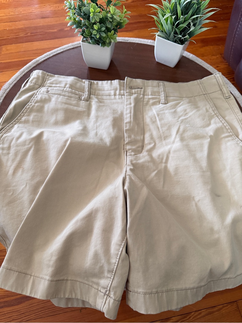 American Eagle Outfitters Khaki/Tan Chino Pants